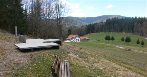 Der Schwarzwald Und Seine Natur Wanderung Im Verlauf Des Premium