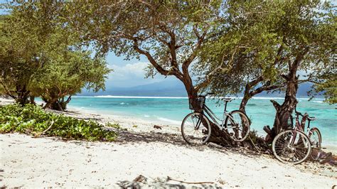 Gratis Afbeeldingen Strand Zee Kust Boom Water Natuur Zon Kust