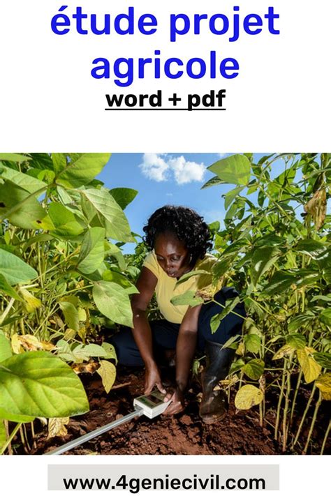 Exemple De Projet Agricole R Dig Word Pdf Agriculture Quick