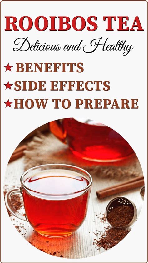 Benefits Of Rooibos Tea And How To Prepare It Properly Rooibos Tea