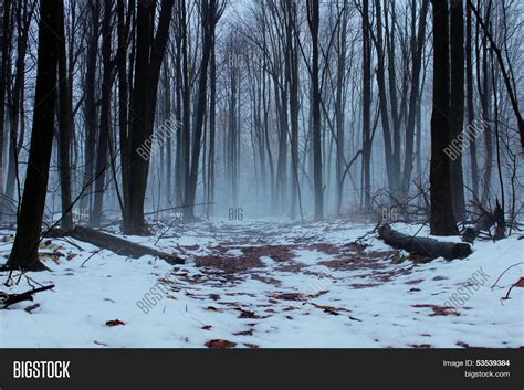 Long Walk Home Image And Photo Free Trial Bigstock