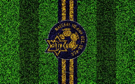 Maccabi Tel Aviv FC Emblem Football Lawn Logo Israeli Football Club