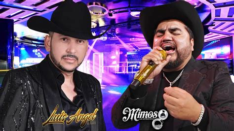 Luis Angel El Flaco Y El Mimoso Las Puras Canciones Mix Para