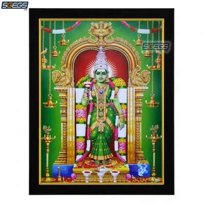 Goddess Meenakshi Amman Photo Frame Hd Picture Frame Religious Framed