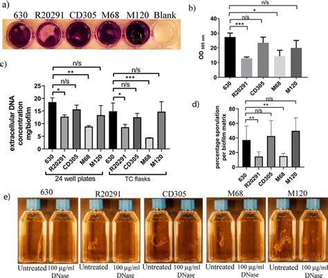 Biofilm Formation And Edna Concentrations Of Representative Strains