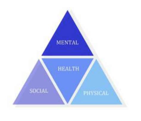 The Wellness Triangle – UBC Mental Health Awareness Club