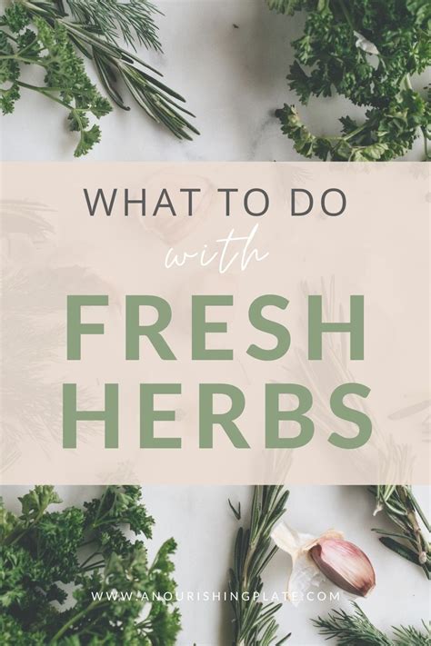 A Guide To Cooking With Fresh Herbs Artofit