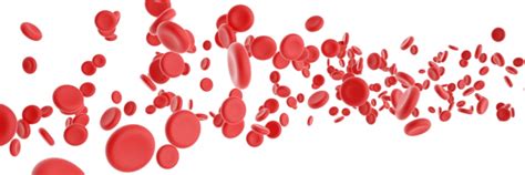 Gene Therapy Hope For Sickle Cell Anaemia Patients Genomics Education