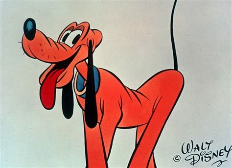 Fun Facts About Walt Disney's Pluto | Disney Dining