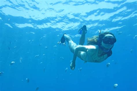 Snorkeling At Manta Level And Manta Bay Nusa Penida Bali Havens