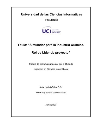 Simulador Para La Industria Quimica Rol De Lider De Proyecto