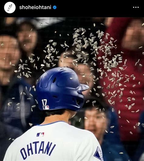 今季初本塁打の大谷翔平「special Moments」とインスタ更新 ファンも即座に反応 Mlb写真ニュース 日刊スポーツ