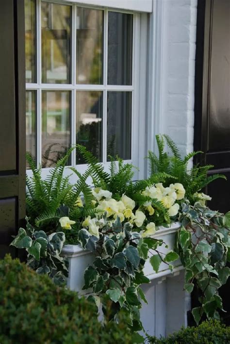 21 Gorgeous Window Box Ideas for Colorful Flowers in 2024 | Window box ...