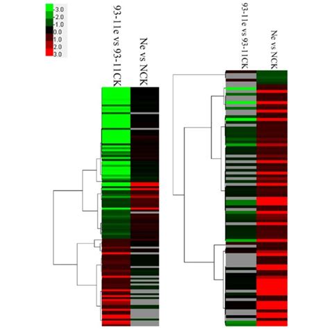 Hierarchical Cluster Analysis Of Protein Expression Based On Fc Data