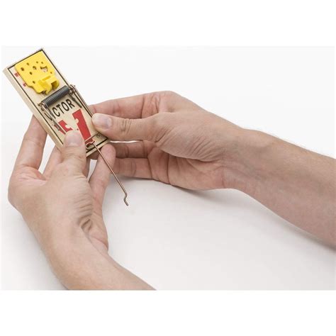 Victor Easy Set Mouse Traps – Beauty Suppliers – Online Shopping