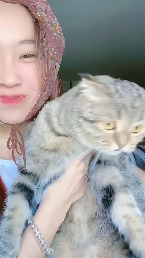 meowwww~ 🐱