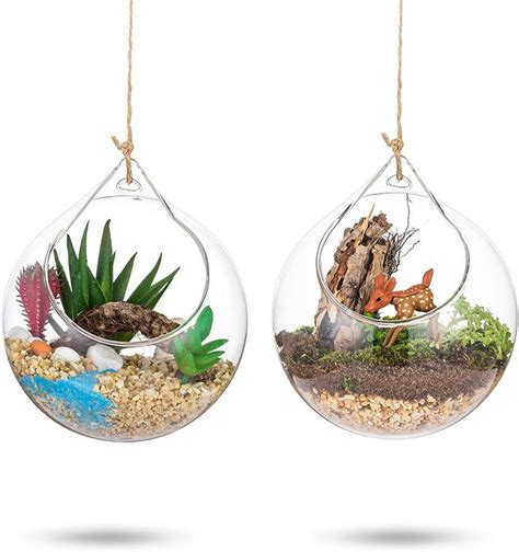 Hanging Glass Globes Terrarium Succulents Orbs 2 Pcs Glass Planter Big Opening Air Fern Plants