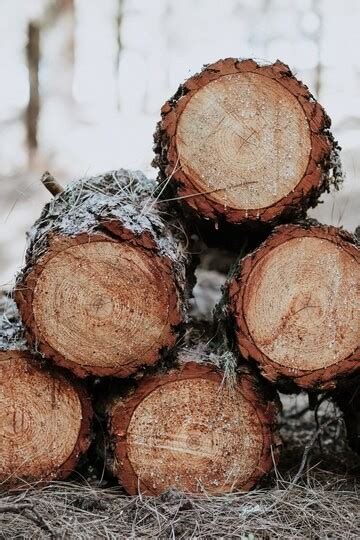 Bois De Chauffage Apprenez Le Faire S Cher Rapidement Afin Qu Il