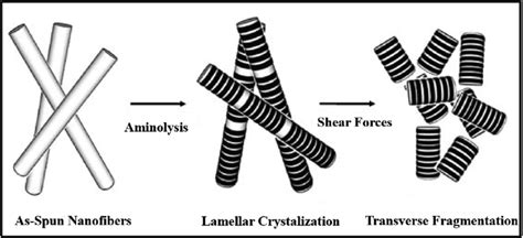 Aminolysis Induced Fragmentation And Crystallization Of PLA Nanofibers