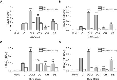 Frontiers The Genotype A To H Dependent N Terminal Sequence Of HBV