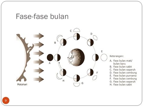 Gambar Fase Bulan Dan Keterangannya Brain