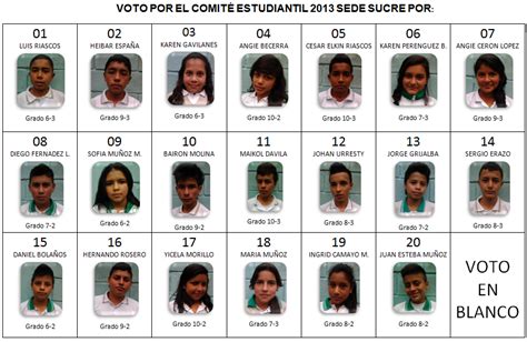 VOTACIONES ONLINE DE PERSONERO Y COMITÉ ESTUDIANTIL 2013 ~ LAS TIC en la IEDR