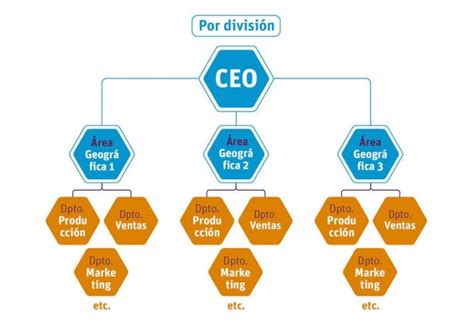 Estructura Empresarial U Organizacional Concepto Y Tipos Unir México