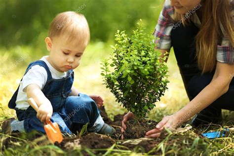 Baby boy planting tree with parent — Stock Photo © belchonock #118556836