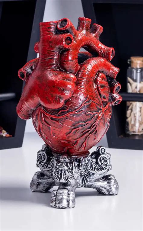 Anatomical Heart Vase Red Alt Gothic Ts And Homewares