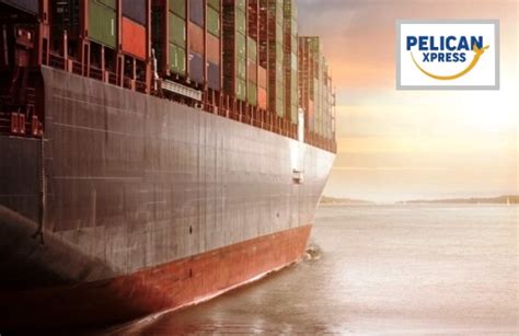 √ Mengenal Pelican Xpress Jasa Forwarder China Terpercaya Dan Bisa