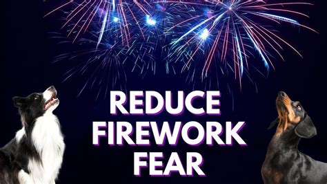 Reduce Your Dogs Fear Of Fireworks Youtube