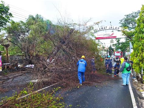 Pohon Tumbang Dan Belasan Rumah Rusak Akibat Hujan Lebat Disertai Angin