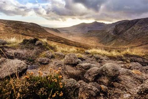 Snowdonia National Park: A Wildlife Enthusiast's Guide - Nature Roamer