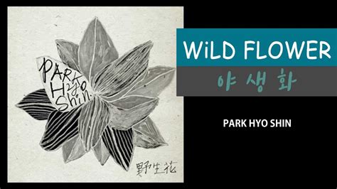 Wild Flower Park Hyo Shin 야생화 박효신 Lyrics 가사 YouTube