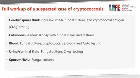 Diagnosis Of Cryptococcal Disease Ppt Download