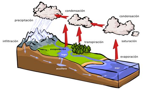 Séptimo Básico La Hidrosfera Historia Geografía Y Ciencias Sociales