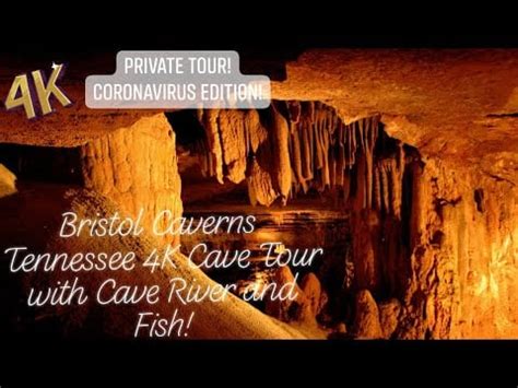 14 Amazing Caves in Tennessee - USA Mocha