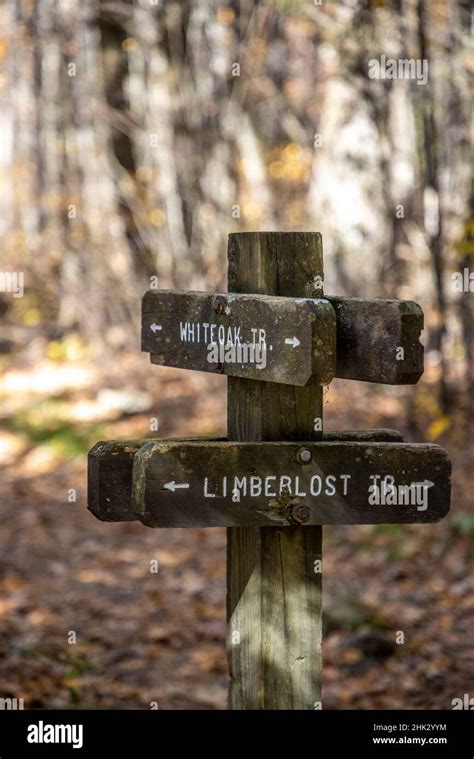 Usa Virginia Shenandoah National Park Wooden Trail Marker For The