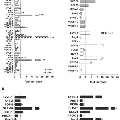 Gene Expression Profile Of Lymphatic Vessel Forming Factors And VEGFRs