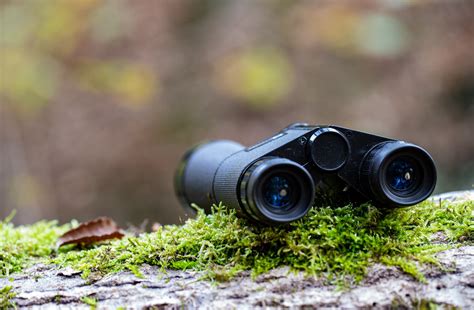 8x25 Vs 10x25 Compact Binoculars Detailed Comparison Binocularsdesk