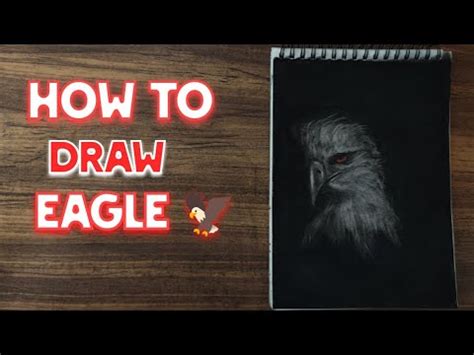 How To Draw Eagle Charcoal Drawing Timelapse Video YouTube