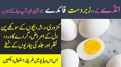 Benefits Of Eating 1 Boiled Egg Daily Health Feed Youtube