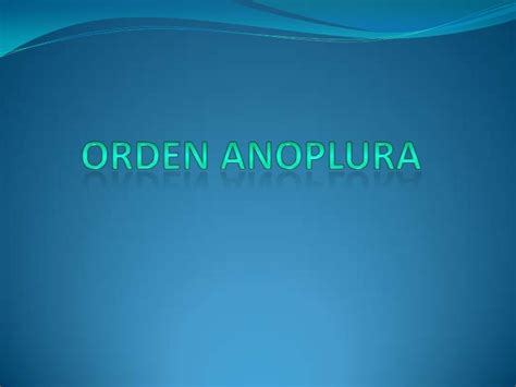 Anoplura