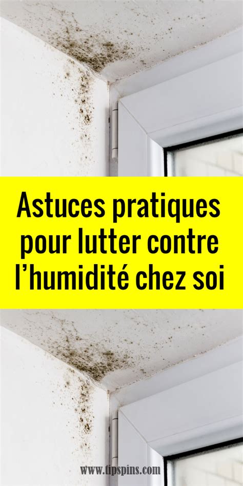 Astuces Pratiques Pour Lutter Contre Lhumidit Chez Soi Astuces