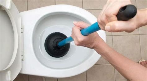 Clogged Toilet Prevention Tips - Annapolis Plumbing Contractor ...