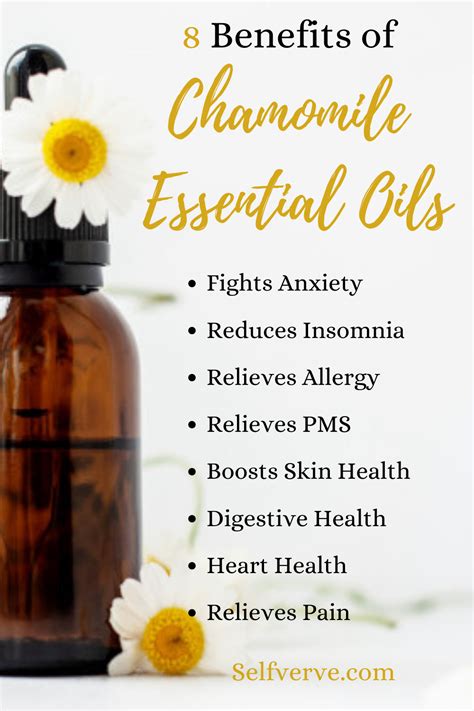 8 Benefits Of Chamomile Essential Oils Chamomile Essential Oil Roman