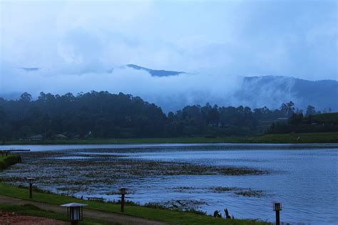 Nuwara Eliya Lake Gregory Krazy Butterfly