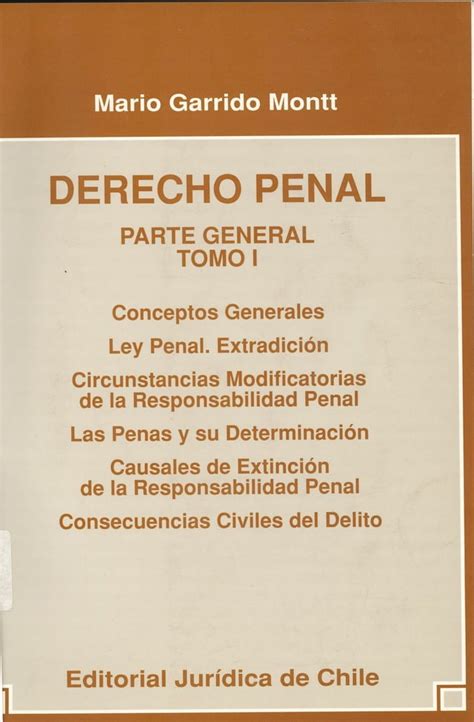 Derecho Penal Parte General Tomo I Mario Garrido Montt PDF