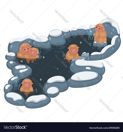 Japanese Monkeys In A Hot Spring Isolate Vector Image