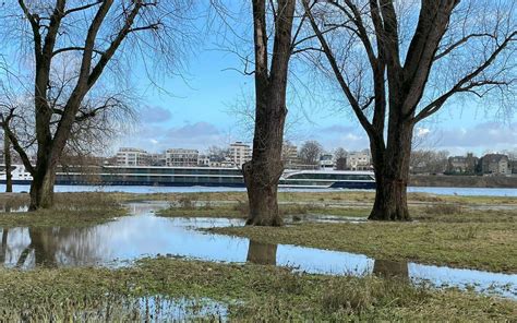 Rhein Hochwasser in NRW Steigende Pegel bis Ende der Woche möglich